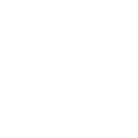 100 kg